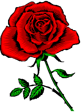 Grafik: Rote Rose.